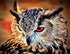 Furious Owl